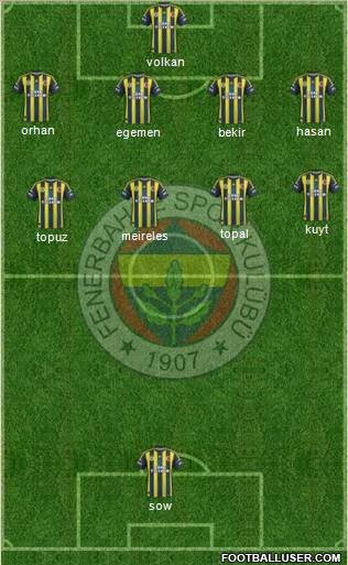 Fenerbahçe SK Formation 2013
