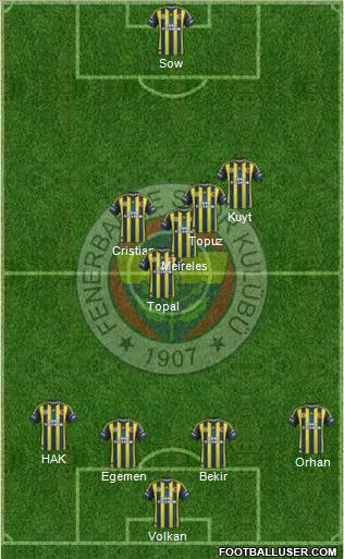 Fenerbahçe SK Formation 2013