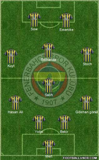 Fenerbahçe SK Formation 2013