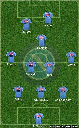 Napoli Formation 2013