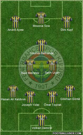 Fenerbahçe SK Formation 2013
