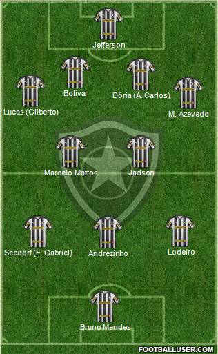 Botafogo FR Formation 2013