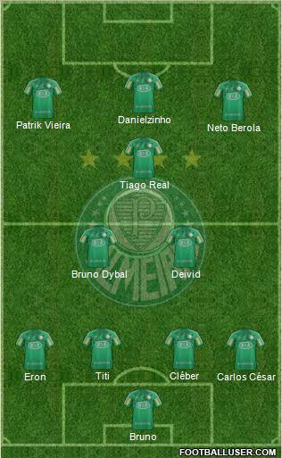 SE Palmeiras Formation 2013