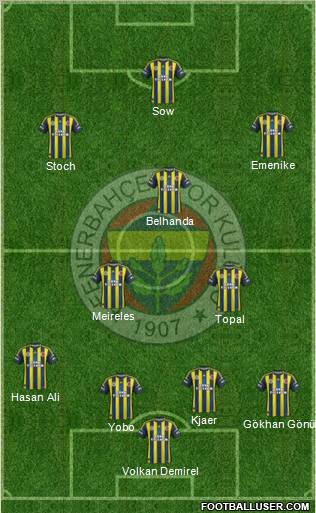 Fenerbahçe SK Formation 2013