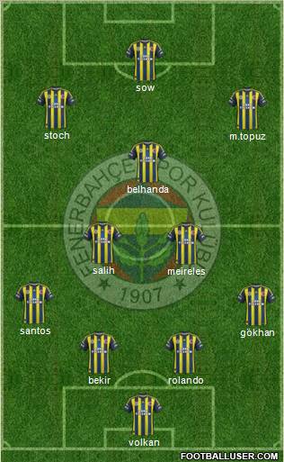 Fenerbahçe SK Formation 2013
