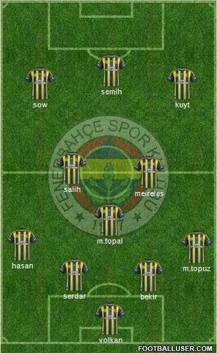 Fenerbahçe SK Formation 2013