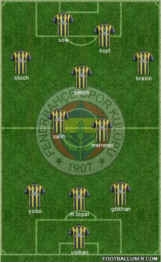 Fenerbahçe SK Formation 2013
