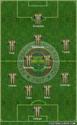 Fenerbahçe SK Formation 2013