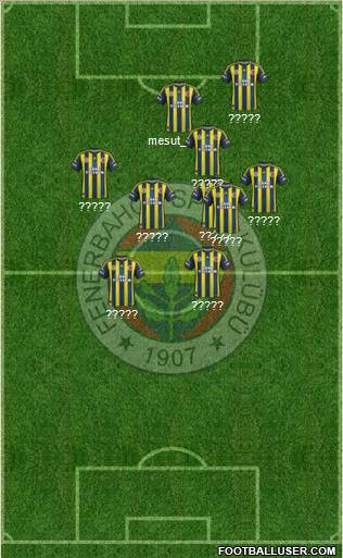 Fenerbahçe SK Formation 2013