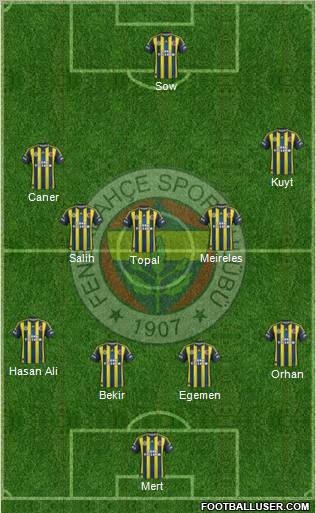 Fenerbahçe SK Formation 2013