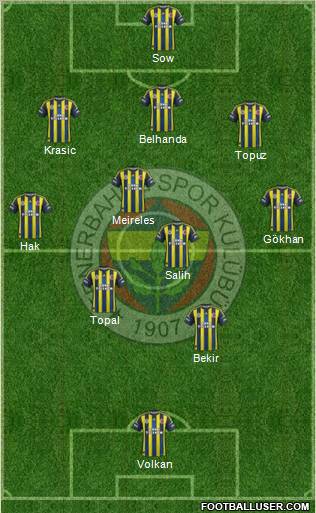 Fenerbahçe SK Formation 2013