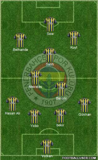 Fenerbahçe SK Formation 2013