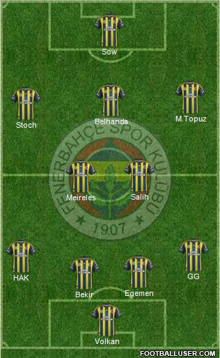 Fenerbahçe SK Formation 2013
