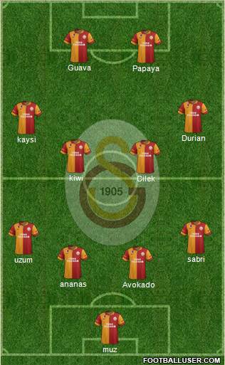 Galatasaray SK Formation 2013