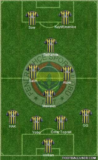 Fenerbahçe SK Formation 2013