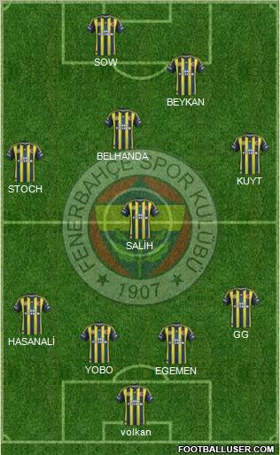 Fenerbahçe SK Formation 2013