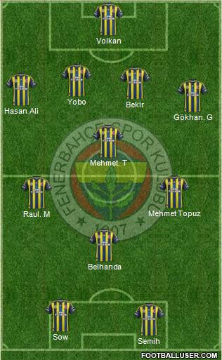 Fenerbahçe SK Formation 2013
