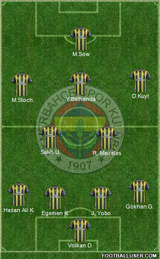 Fenerbahçe SK Formation 2013