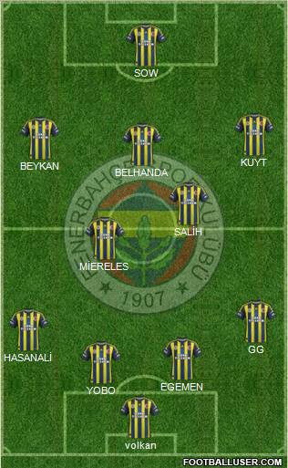 Fenerbahçe SK Formation 2013