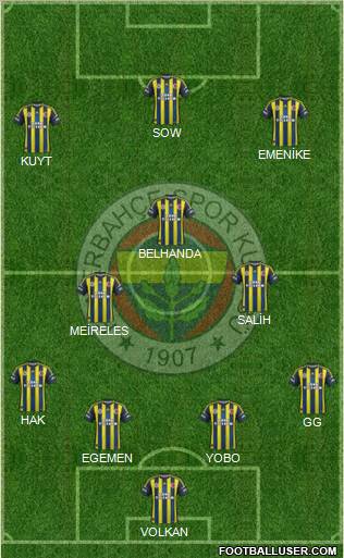 Fenerbahçe SK Formation 2013