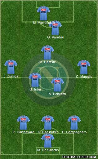 Napoli Formation 2013