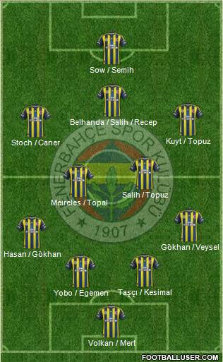 Fenerbahçe SK Formation 2013