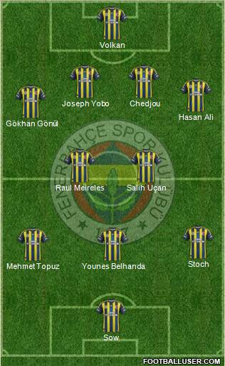 Fenerbahçe SK Formation 2013