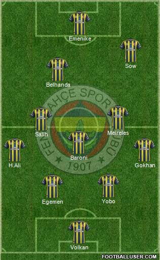 Fenerbahçe SK Formation 2013