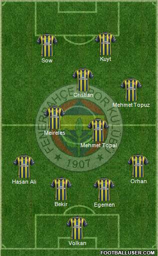 Fenerbahçe SK Formation 2013
