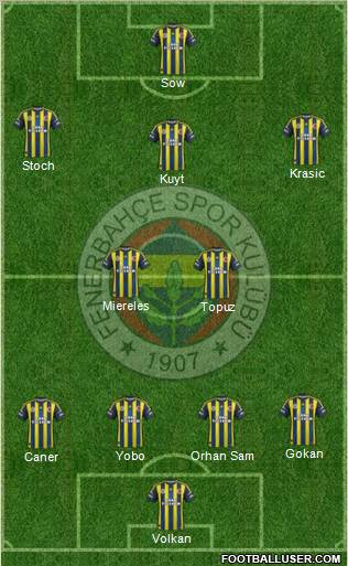 Fenerbahçe SK Formation 2013