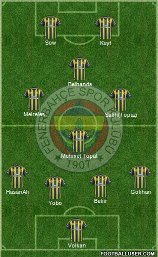 Fenerbahçe SK Formation 2013
