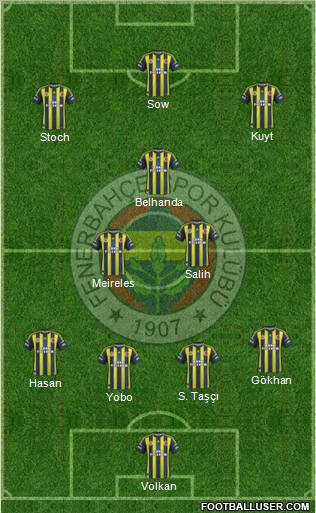 Fenerbahçe SK Formation 2013