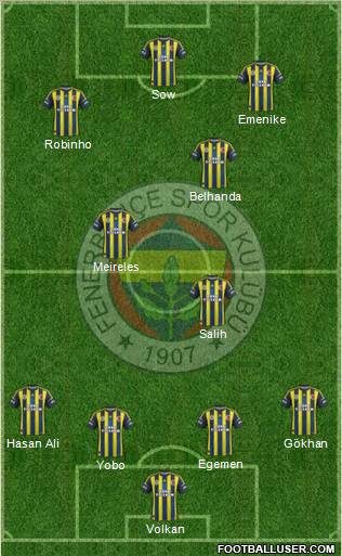 Fenerbahçe SK Formation 2013