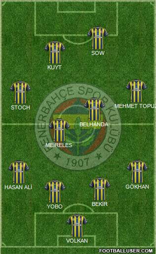 Fenerbahçe SK Formation 2013