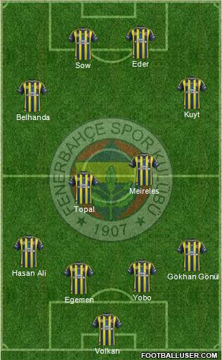Fenerbahçe SK Formation 2013