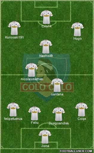 CSD Colo Colo Formation 2013