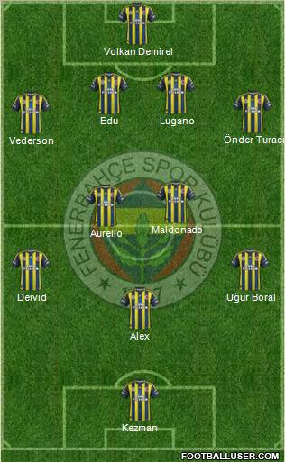 Fenerbahçe SK Formation 2013