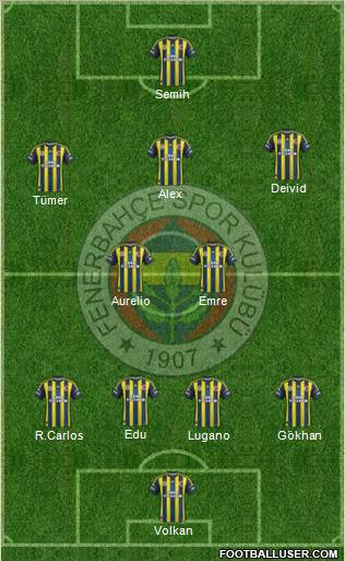 Fenerbahçe SK Formation 2013