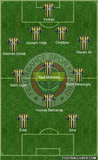 Fenerbahçe SK Formation 2013