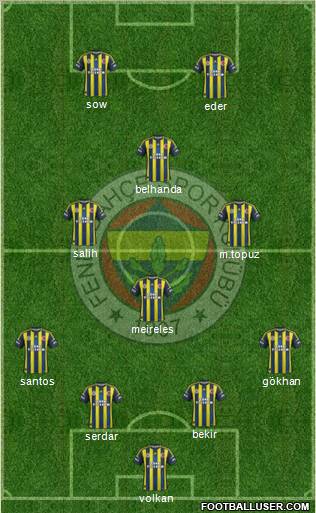 Fenerbahçe SK Formation 2013