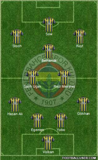Fenerbahçe SK Formation 2013