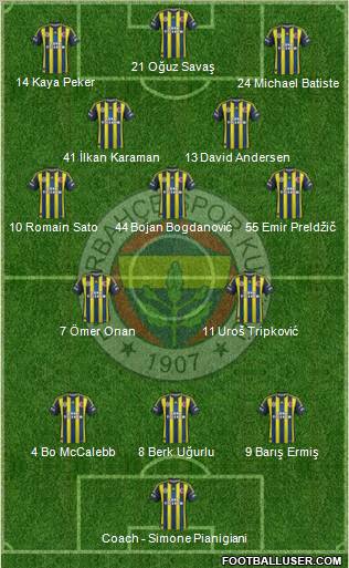 Fenerbahçe SK Formation 2013