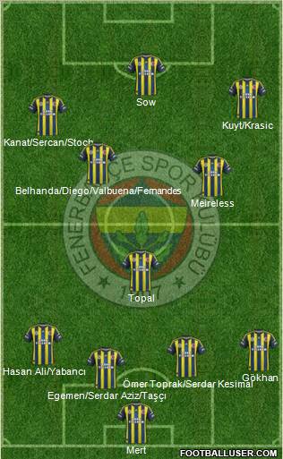 Fenerbahçe SK Formation 2013