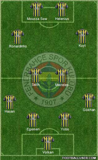 Fenerbahçe SK Formation 2013