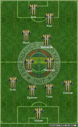 Fenerbahçe SK Formation 2013