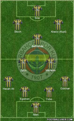 Fenerbahçe SK Formation 2013