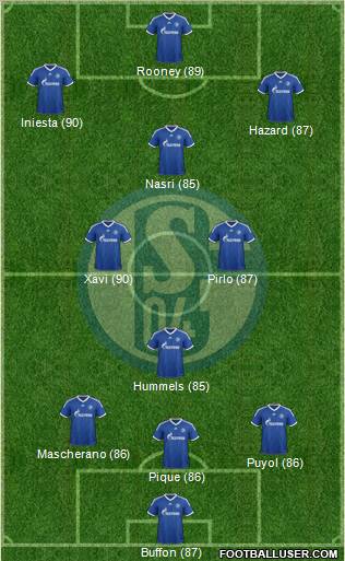 FC Schalke 04 Formation 2013