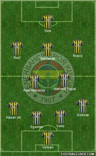 Fenerbahçe SK Formation 2013