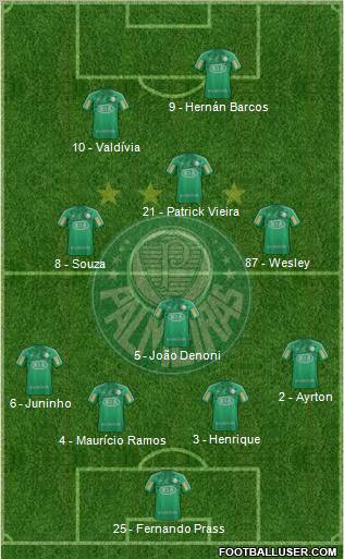 SE Palmeiras Formation 2013