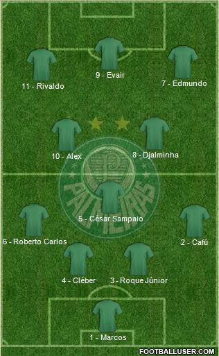 SE Palmeiras Formation 2013